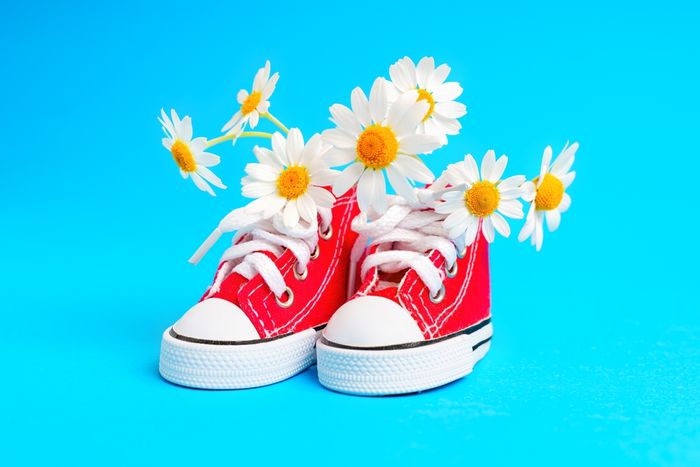 A pair of shoes with flowers in them.