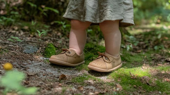 A little girl standing on top of a lush green forest.