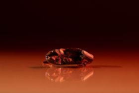 Unlock the Power of Antioxidants with Cacao