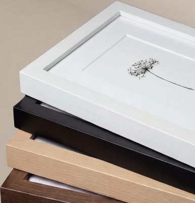 a picture of a dandelion in a white frame