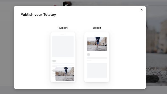 A pop-up screen with publishing options on Tolstoy.