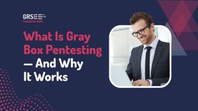 Gray Box Pentest: Why This Hybrid Approach May Be Best