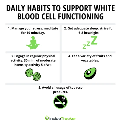a diagram explaining daily habits to support white blood cell functioning