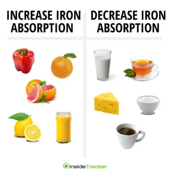 foods and drinks that increase and decrease iron absorption