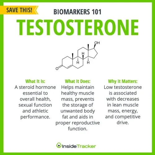 Biomarkers 101: Testosterone