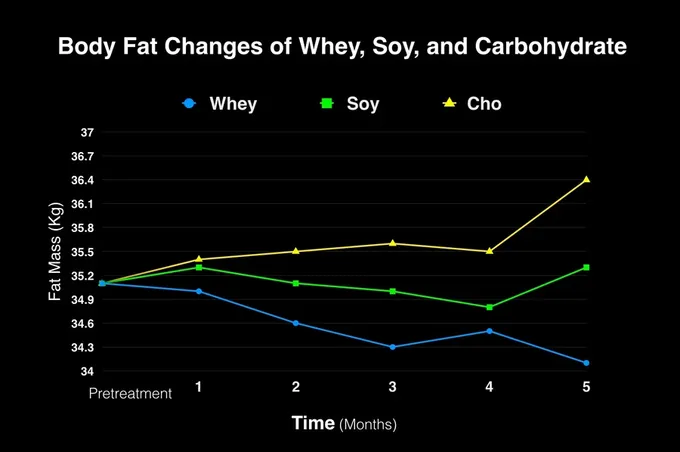 Soy Protein vs Whey Protein: Which One Is Better? - Unlocking Insights -  Explore Our Articles