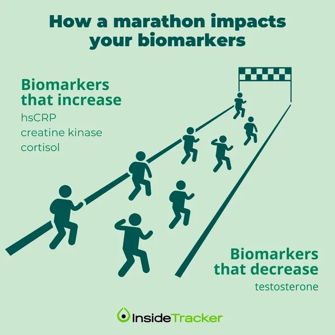 How Hard is a Marathon on Your Body  