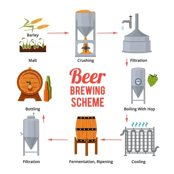Beer is Fermented—Does That Mean It Contains Probiotics? Unlocking