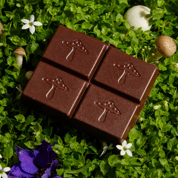 Alice "Brainstorm" Mushroom Chocolate Gift Set 2