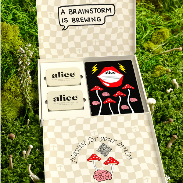 Alice "Brainstorm" Mushroom Chocolate Gift Set 3
