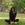 a woman sitting on the ground in a park