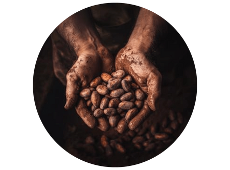 a person holding a handful of beans in their hands