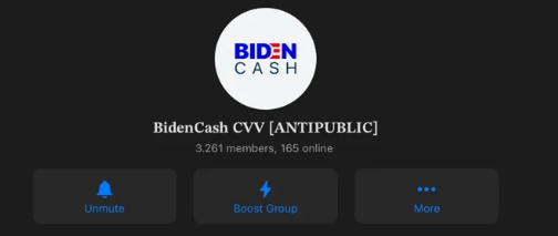 Biden Cash