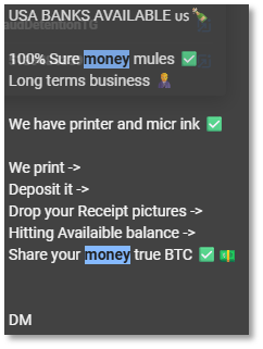User in carding Telegram channel offering money mule services User in carding Telegram channel offering money mule services