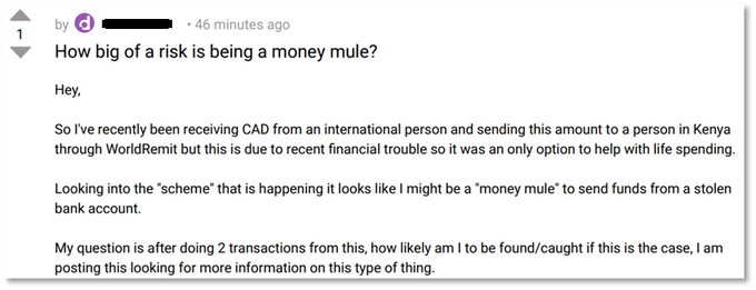 As seen on the Dread forum, Texas27281 involved in this scheme shares his concerns about being caught_.png As seen on the Dread forum, Texas27281 involved in this scheme shares his concerns about being caught_.png