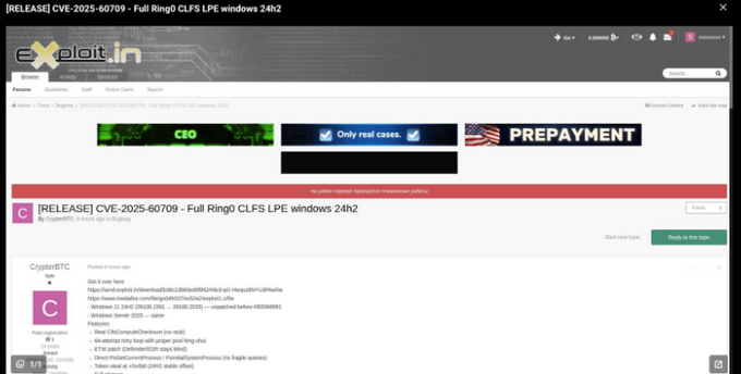 Exploit.in a computer screen with a web page on it