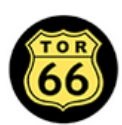 TOR 66 ICON