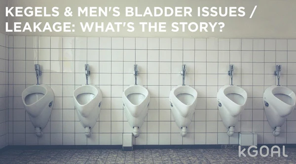 a row of urinals in a men's bathroom