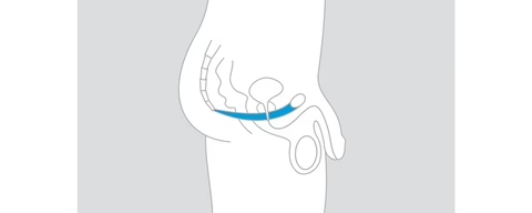 a diagram of a knee with a blue band around it