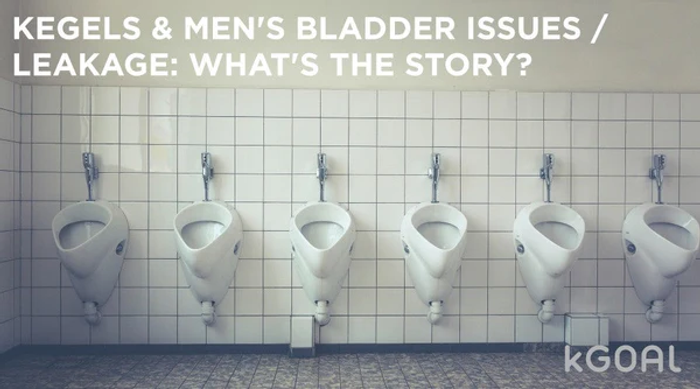 a row of urinals in a men's bathroom