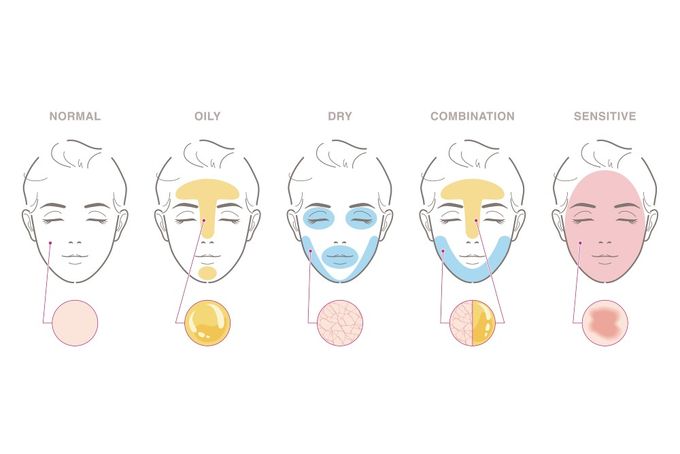 Stopping makeup from creasing: a diagram of different skin types.