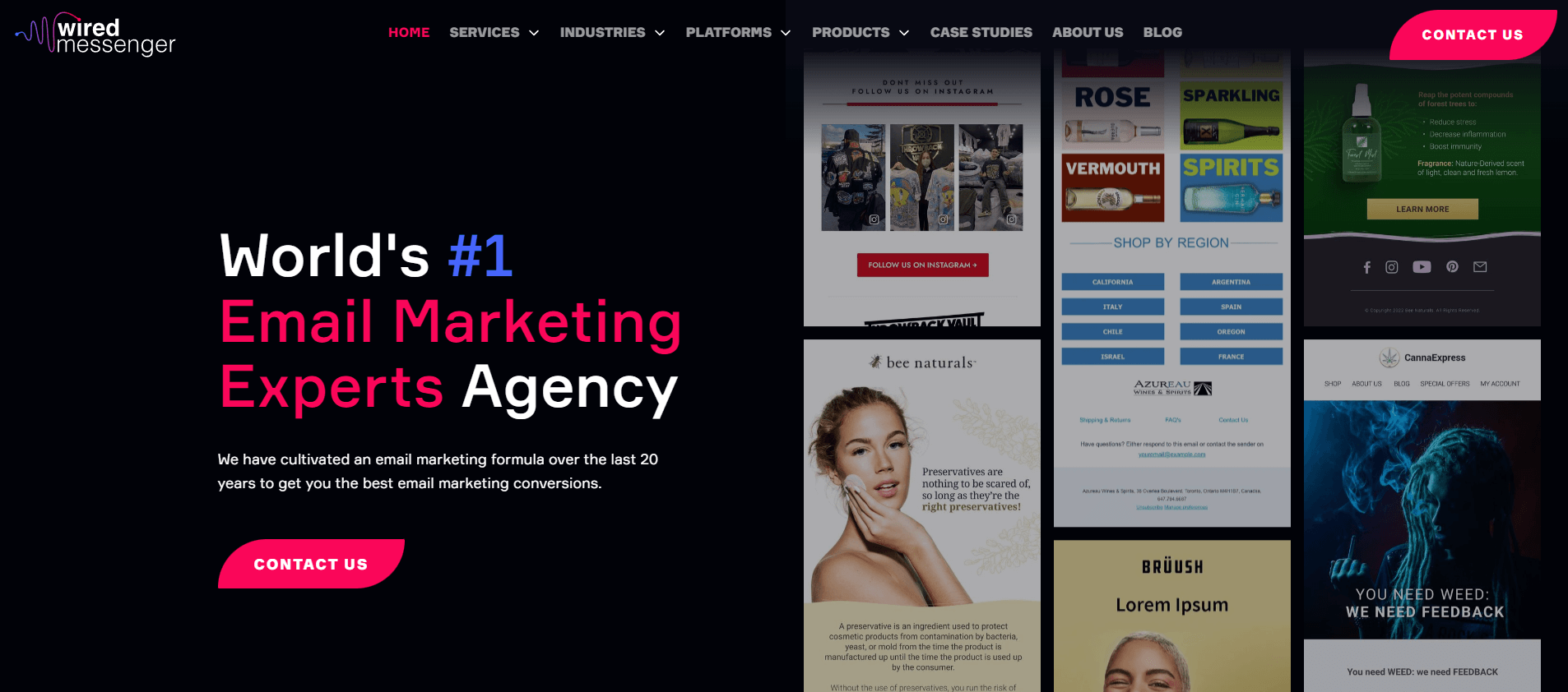 an email marketing expert's agency website