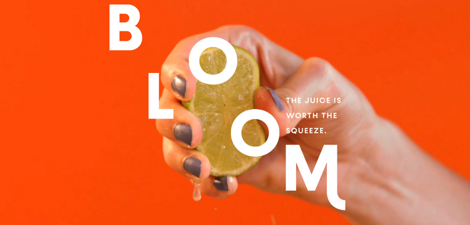 Bloom Digital Agency