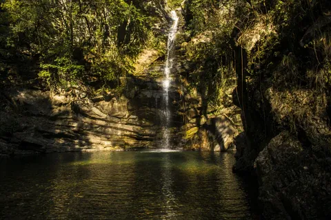 River falling into a watering hole