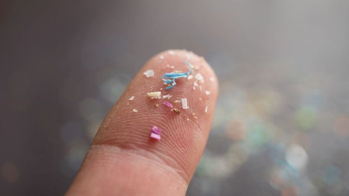 Pieces of microplastics on a finger