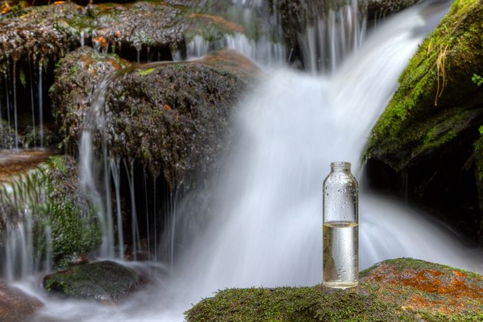 a bottle sitting on top of a moss covered rock