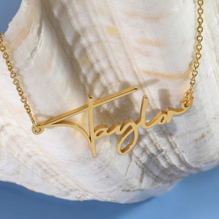 a close up of a necklace on a shell