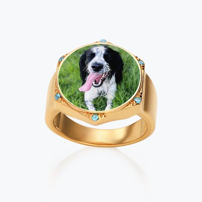 A black and white dog on a gold ring