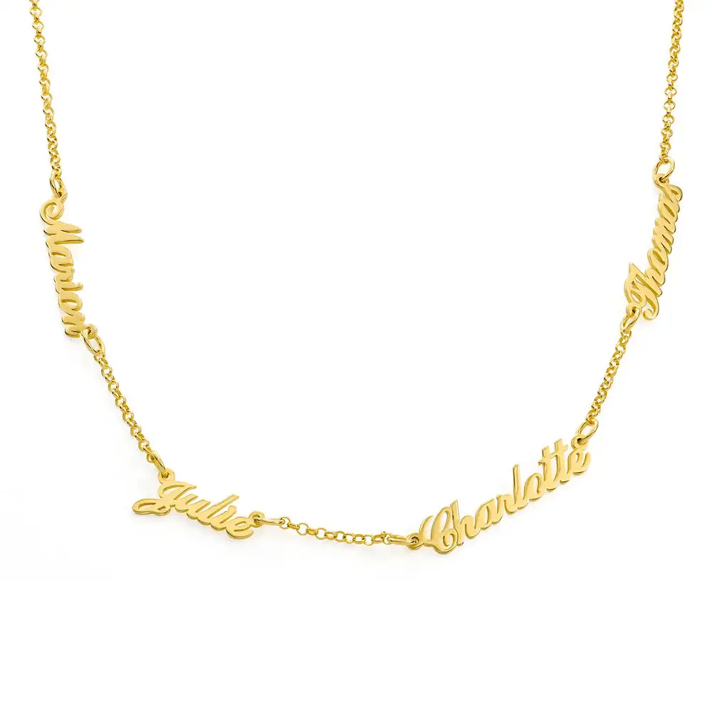 Heritage Multiple Name Necklace in 18k Gold Vermeil by MYKA