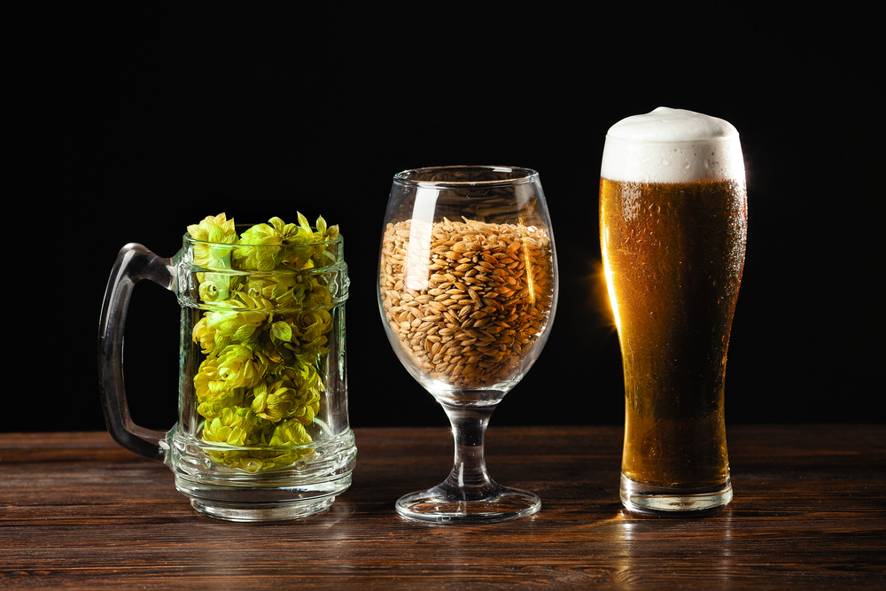 What Is Beer Made Of? A Deeper Dive into the Essential Ingredients – Good  Spirits – Paneco Blog