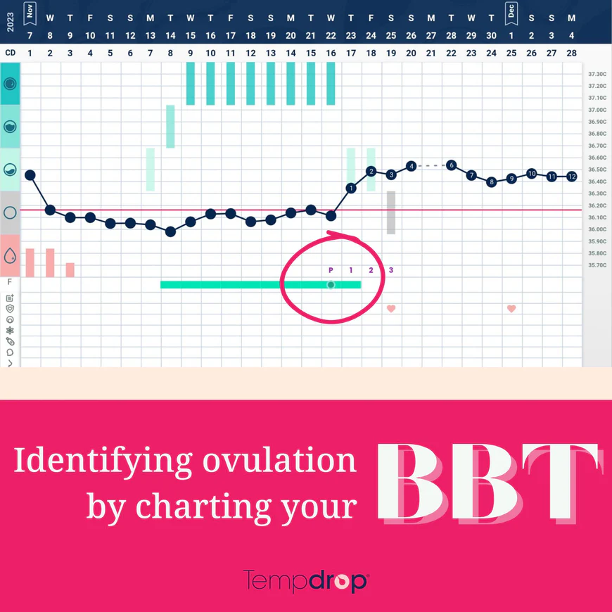 the cover of the book identifying ovulation by charting your bbt