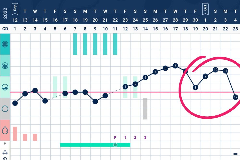 a line graph with a red circle on it
