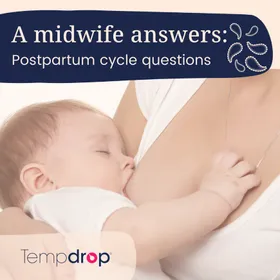 A Midwife Answers: Postpartum Cycle Questions