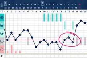 Is it Normal for Your Temperature to Drop After Ovulation? Understanding the ‘Fallback Rise’