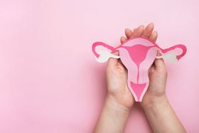 The Top Signs of Ovulation to Watch Out For
