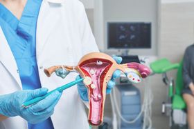 Uterine Fibroids & Fertility: Important Facts & Conception Tips