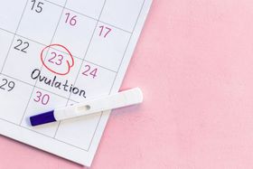 How to Date Your Pregnancy if You Know When You Ovulated