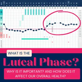 What Is the Luteal Phase? Learn Now Why It’s Important and How It Affects Overall Health