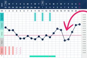 Taking a Look at the Implantation Dip: Myth or Fact?