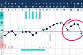 Taking a Look at the Implantation Dip: Myth or Fact?