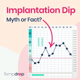 Taking a Look at the Implantation Dip: Myth or Fact?