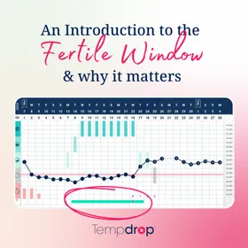 An Introduction to the Fertilite Window & Why It Matters