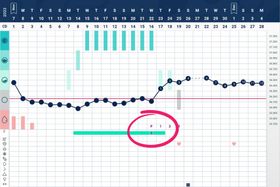 Identifying Ovulation With BBT Charting