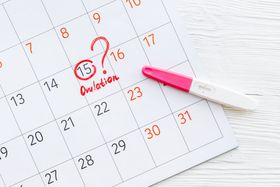 Possible Reasons for Insufficient Ovulation or Anovulation.