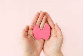 What Basal Body Temperature Can Reveal: Undiagnosed Hypothyroidism