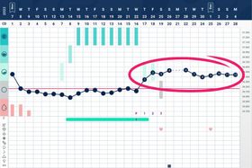 What Is the Luteal Phase? Learn Now Why It’s Important and How It Affects Overall Health